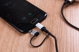 2 in 1 MFI Data/Charging Cable
